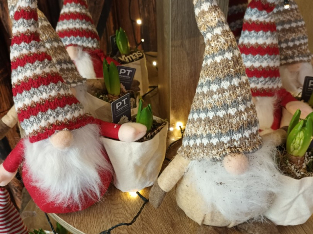 IDEES DE CADEAU POUR NOEL CHEZ VOTRE FLEURISTE DE GIBERVILLE 