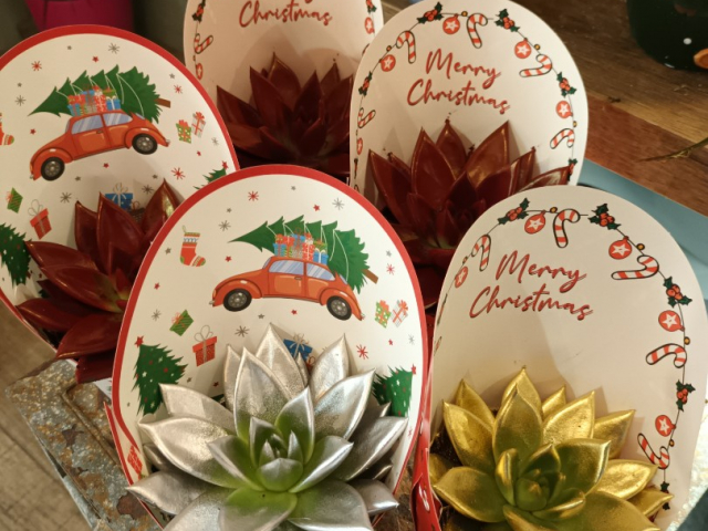 IDEES DE CADEAU POUR NOEL CHEZ VOTRE FLEURISTE DE GIBERVILLE 