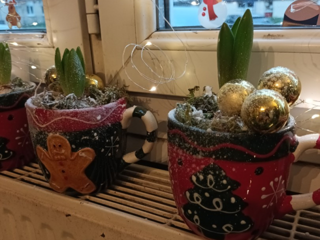 IDEES DE CADEAU POUR NOEL CHEZ VOTRE FLEURISTE DE GIBERVILLE 